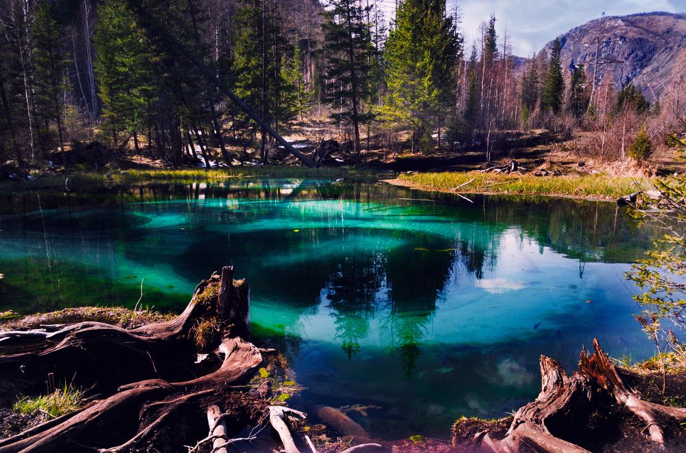 Photograph by Тарасова Олеся