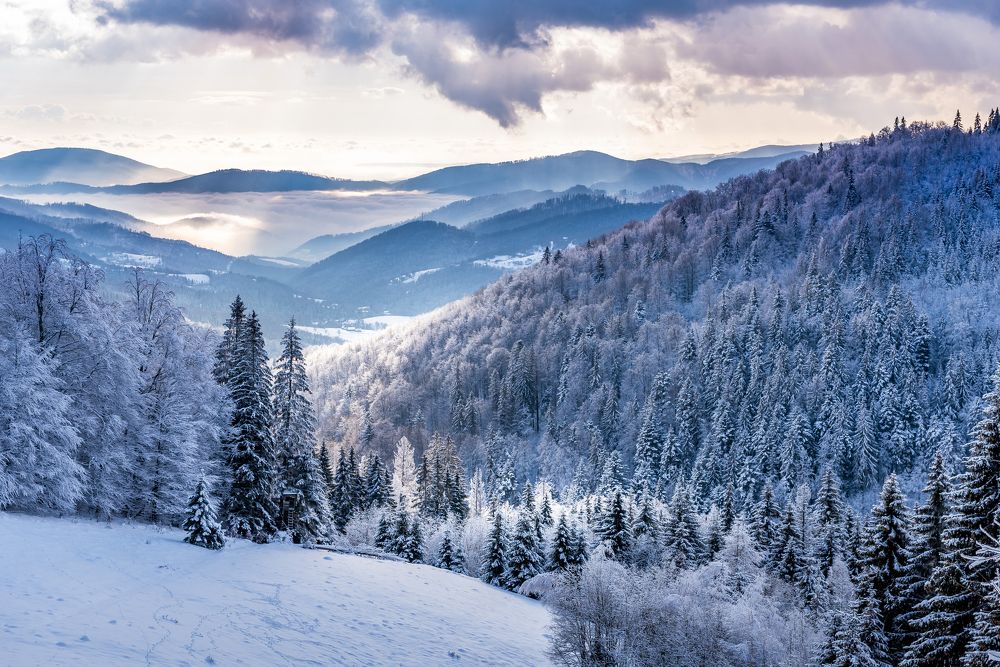 Фотография автора Alena Geršičová