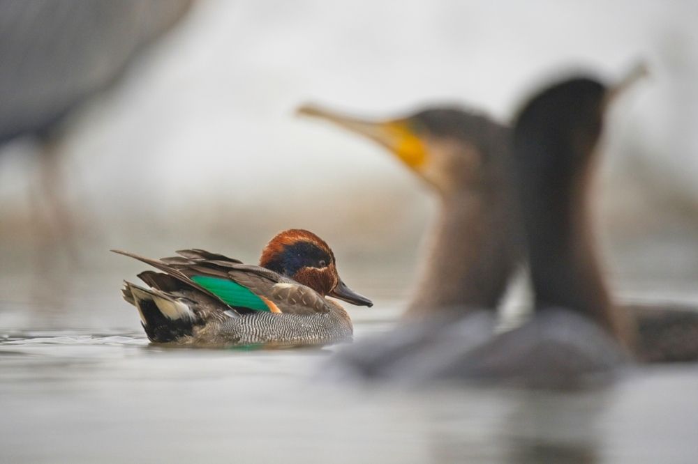 Photograph by Juraj Benčík