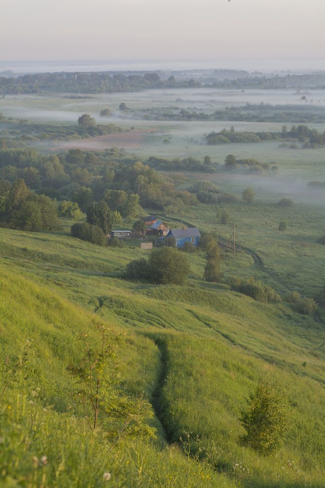 По тропинке
