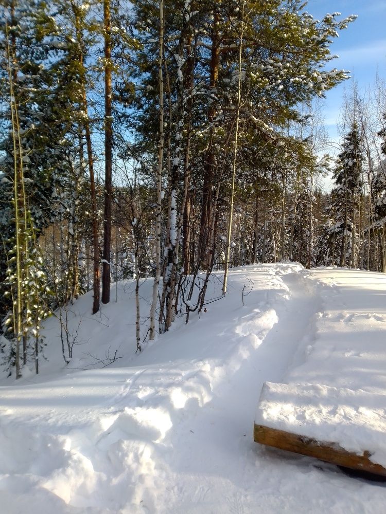 Photograph by Нина Гирнык