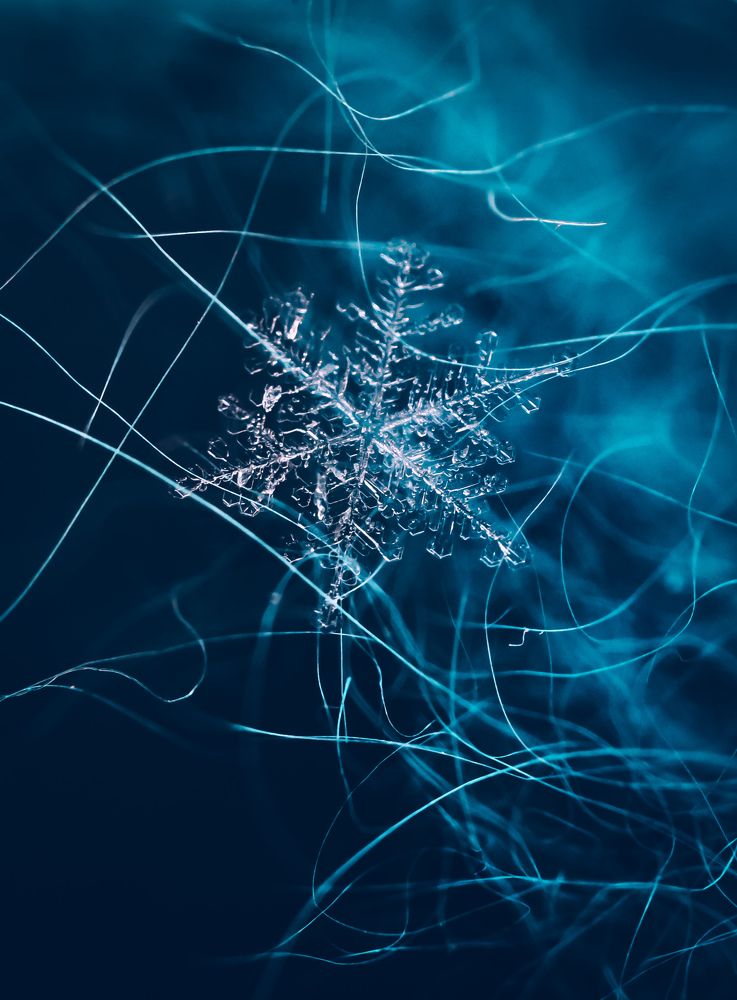 Photograph by Анна Зенкина