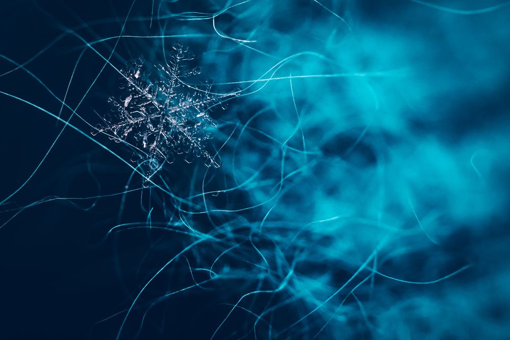 Photograph by Анна Зенкина