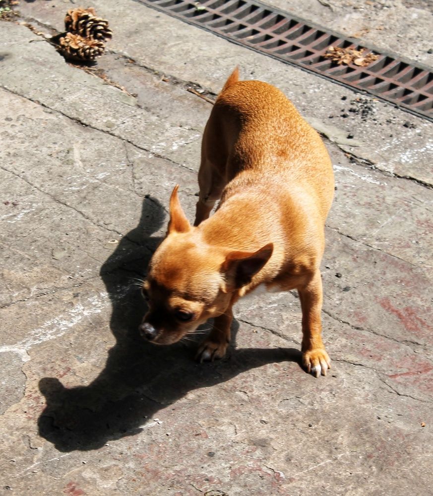 Photograph by Natalija Bucinska