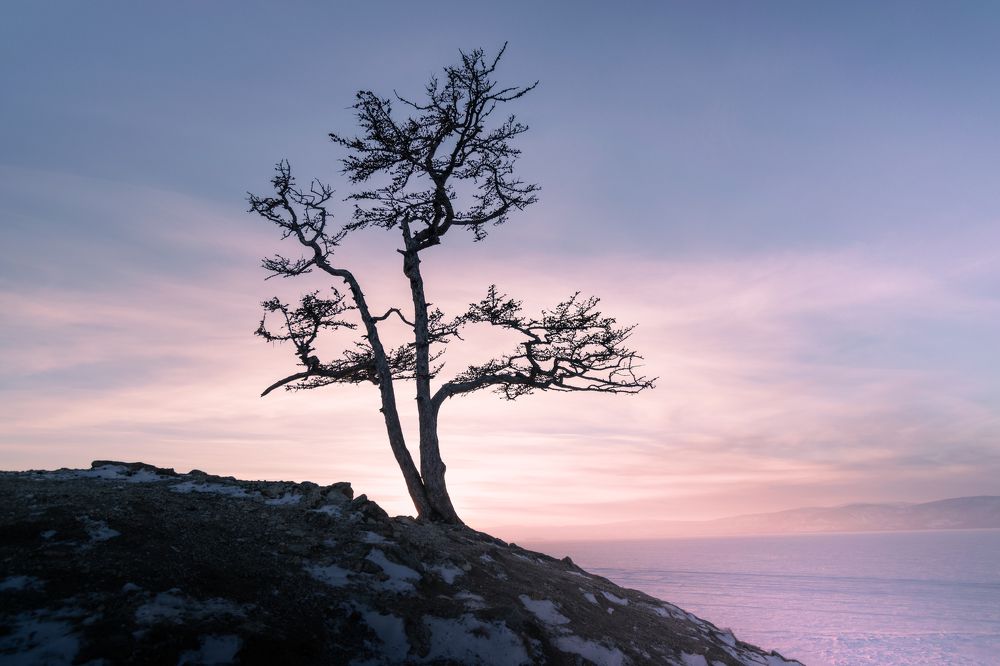 Photograph by Денис Бобр