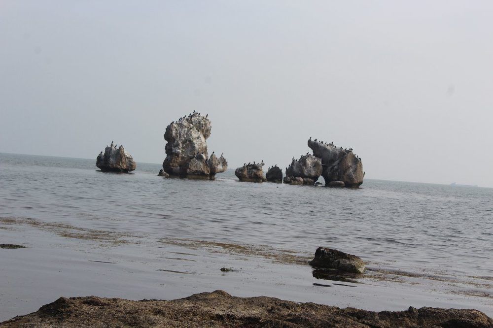 Photograph by Нина Гирнык