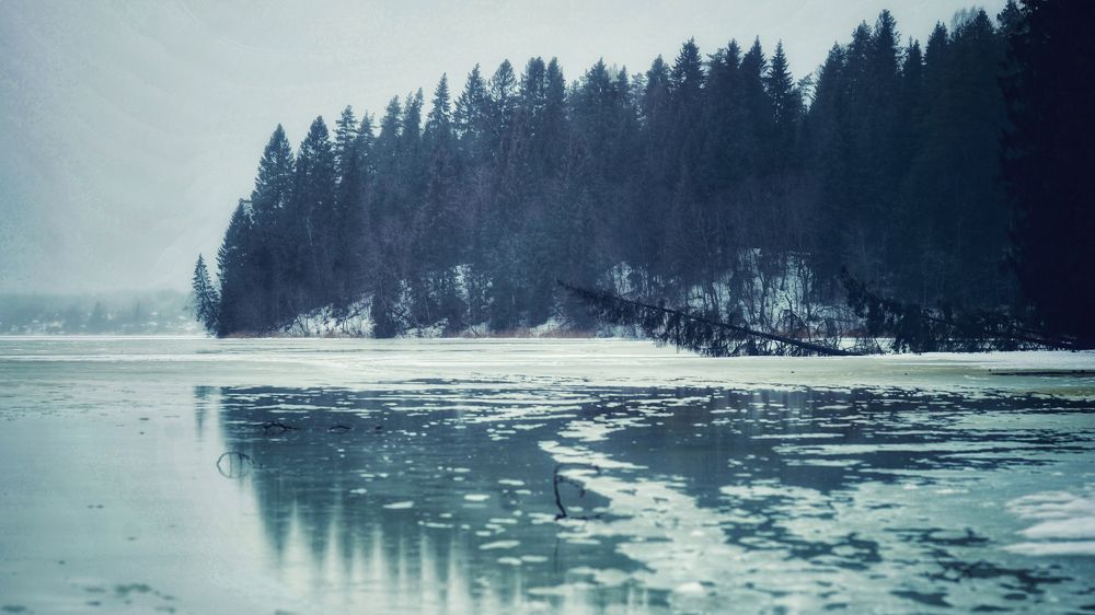 Photograph by Артем Зыкин