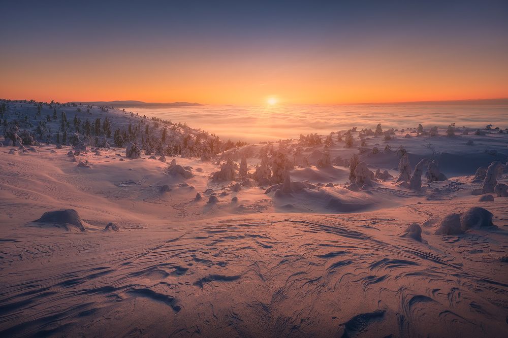 Photograph by Александр Дударев