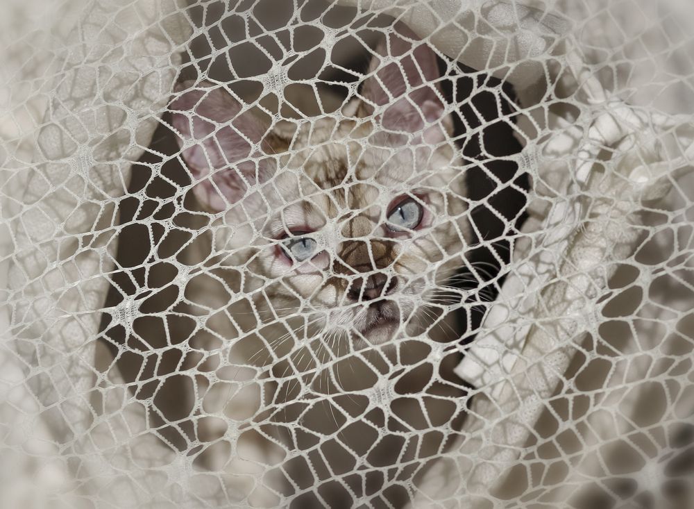 Photograph by юлия некрасова