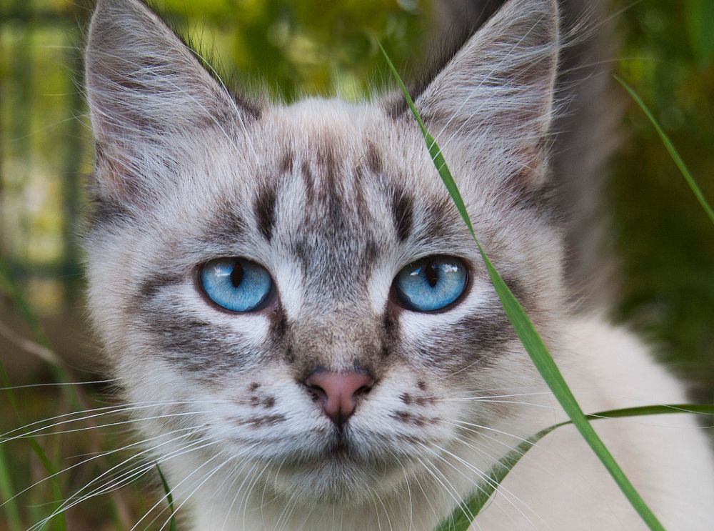 Photograph by Александр Белянский