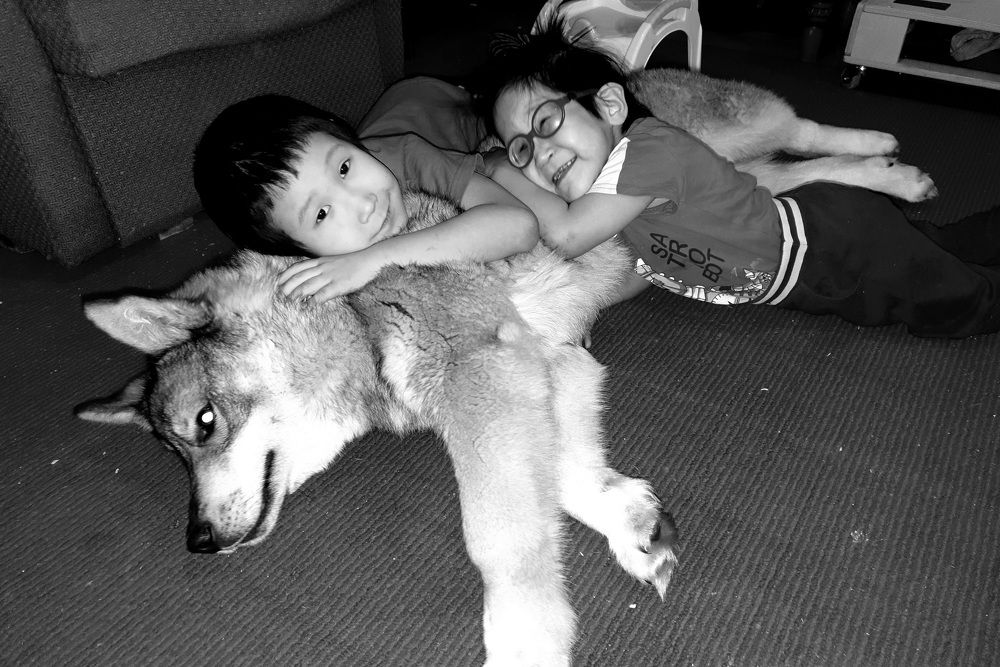 Photograph by Альбина Алексеева - Бугименова