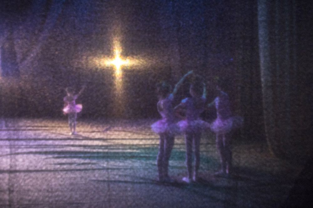 Photograph by Дмитрий Фисенко