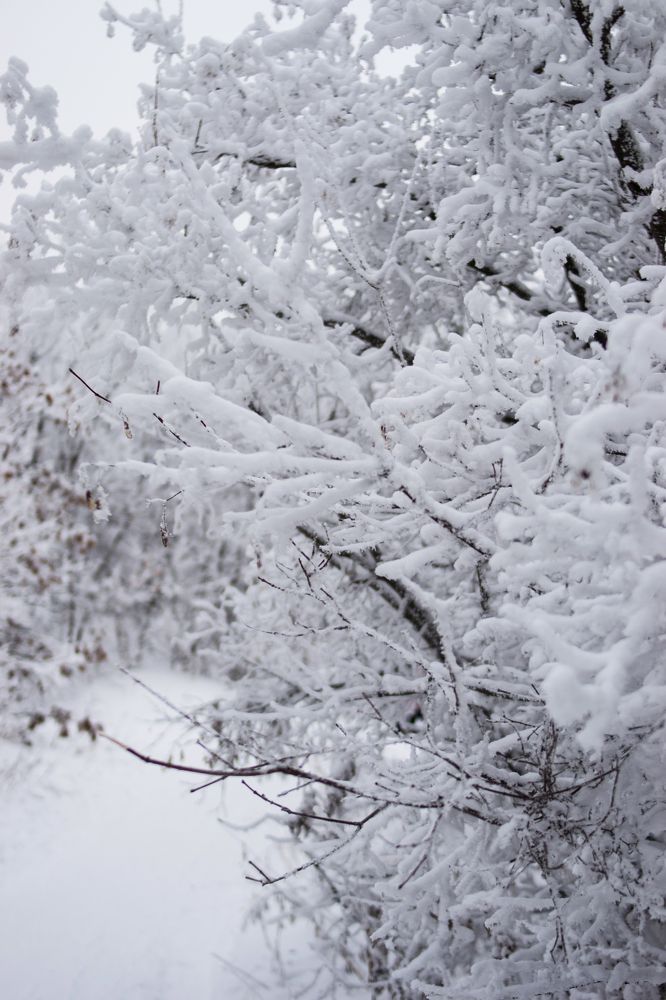 Photograph by Алена Бржезицкая