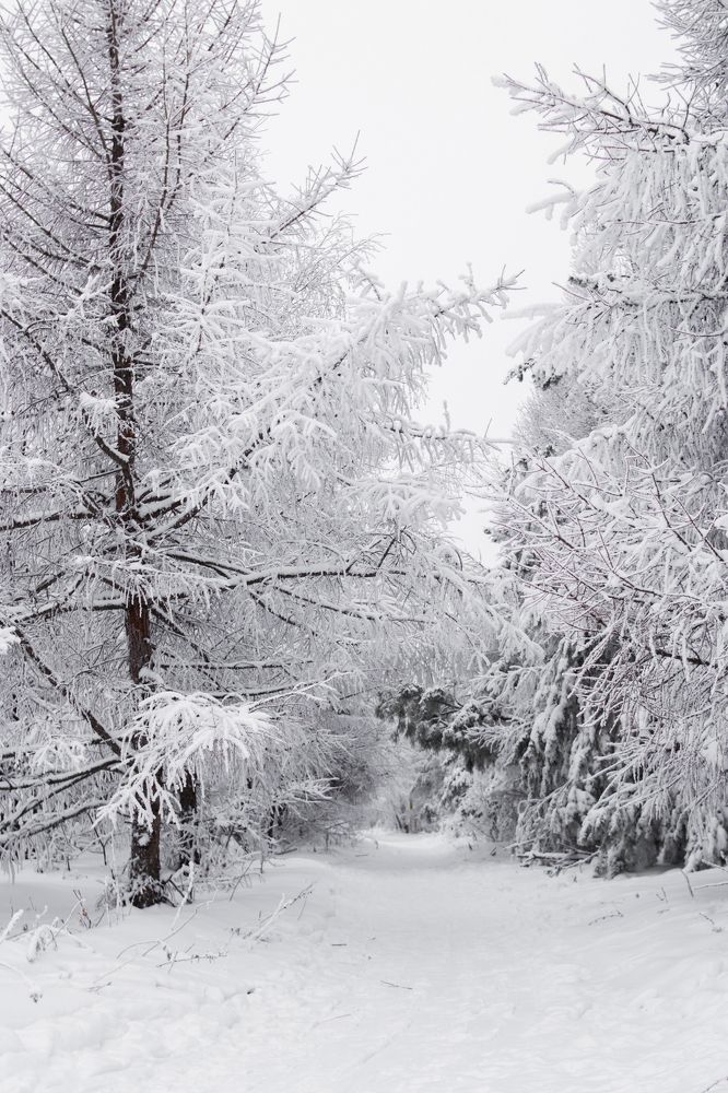 Photograph by Алена Бржезицкая