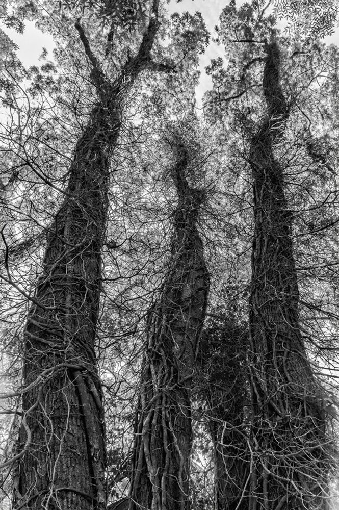 Photograph by Дмитрий Фисенко