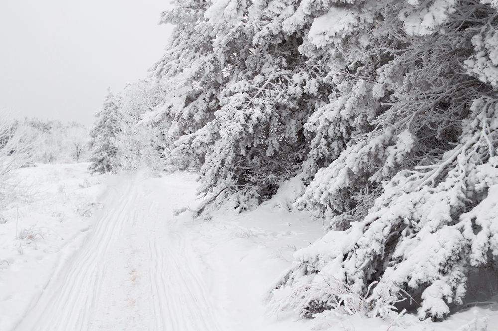 Photograph by Алена Бржезицкая