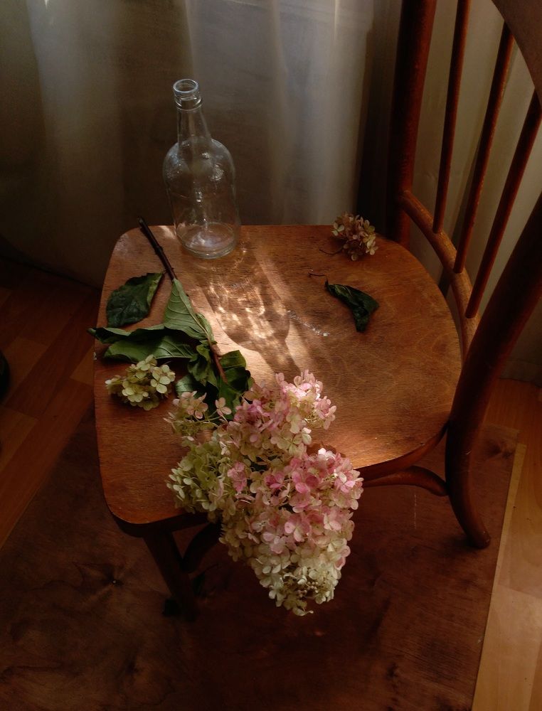 Фотография автора Svetlana Inyusheva