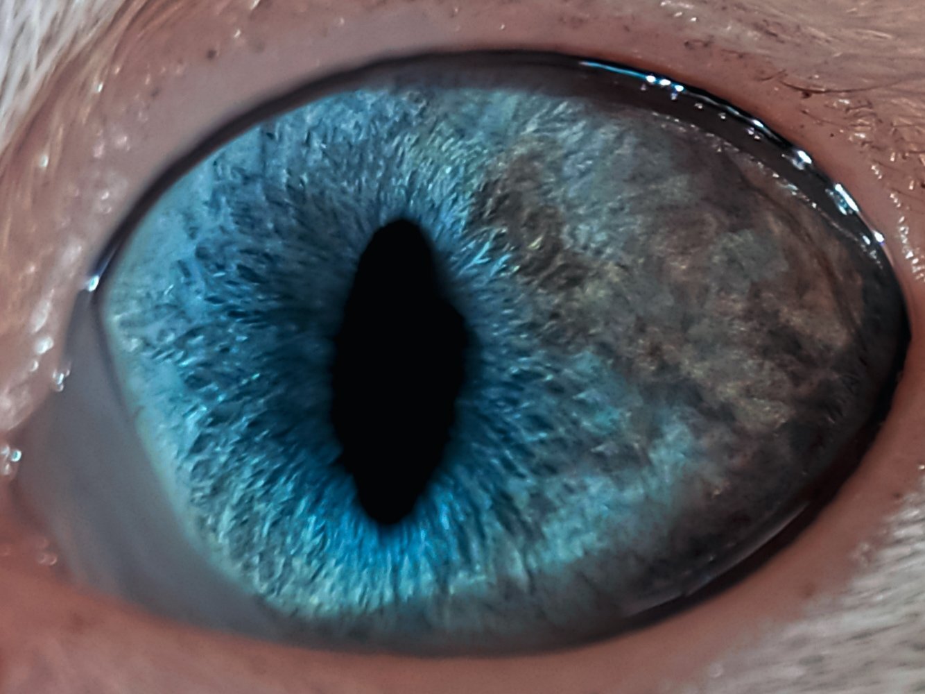 Photo #5919769