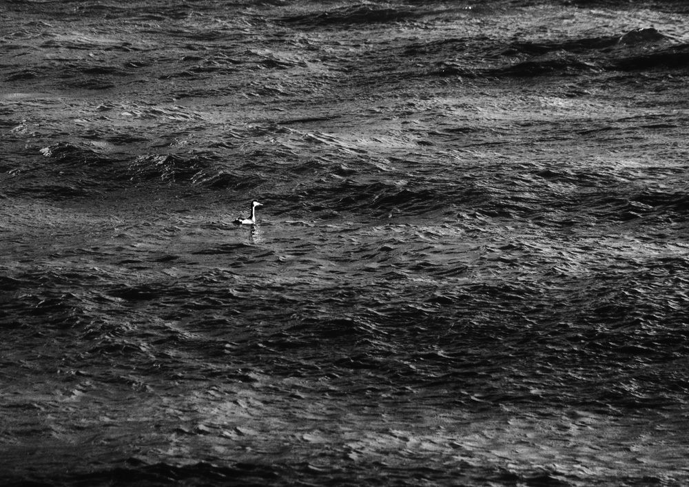 Photograph by Дмитрий Фисенко