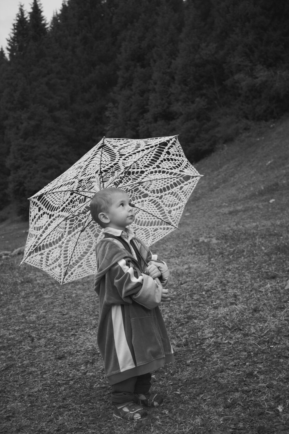 Photo #5919816