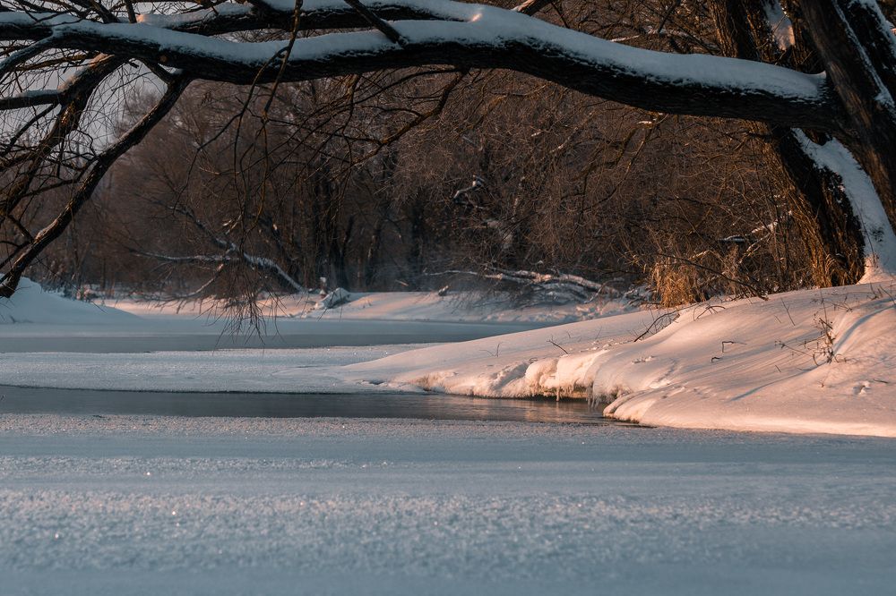 Фотография автора Александр Дюльгер