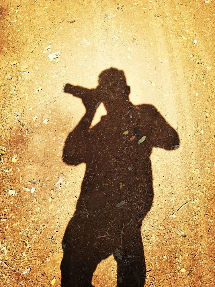 Photograph by Akshaya Dey