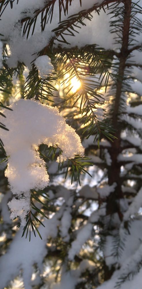 Photograph by Любовь Макарова