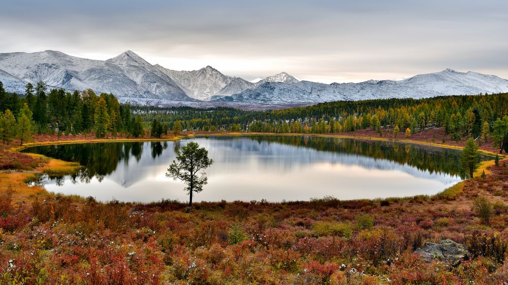 Первый снег в горах
