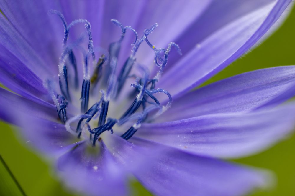 Photograph by János Rábli