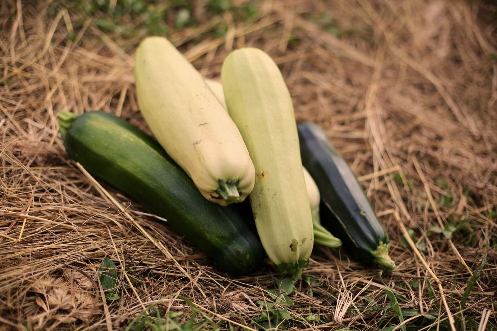 Photograph by Ольга Гаврилова