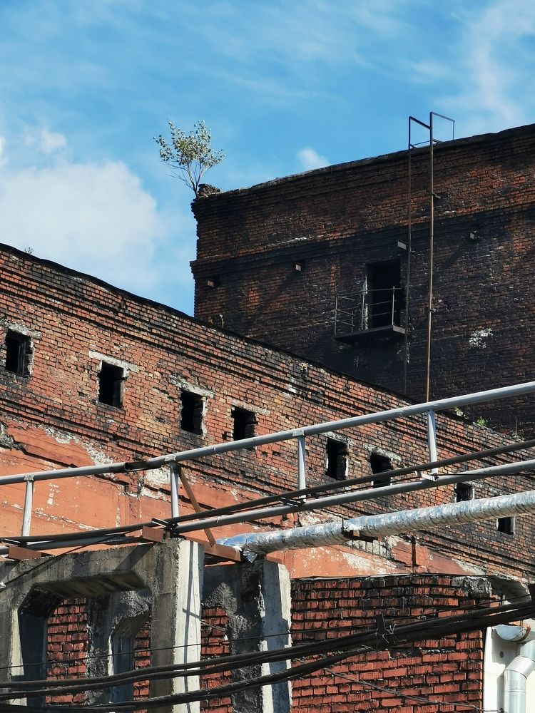 Фотография автора Андрей Логвинович