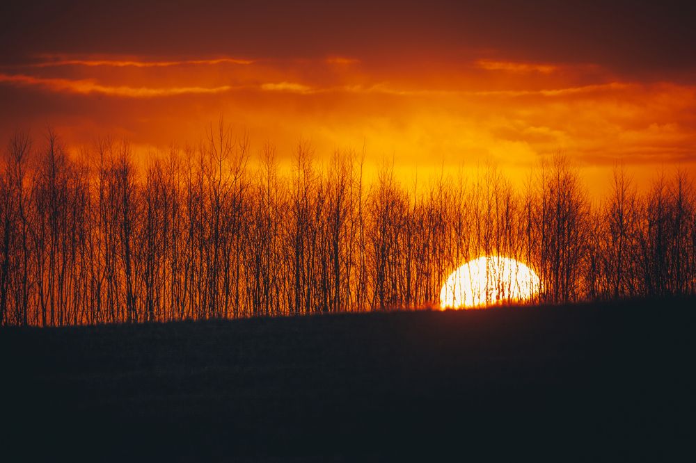 Photograph by Wiktor Kulesa