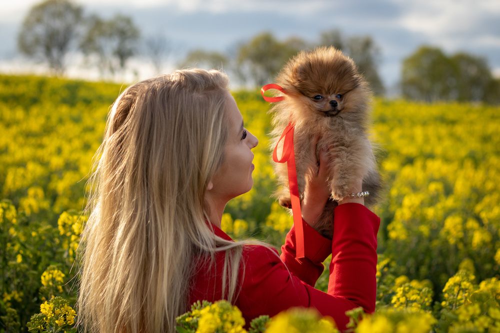 Photograph by Wiktor Kulesa