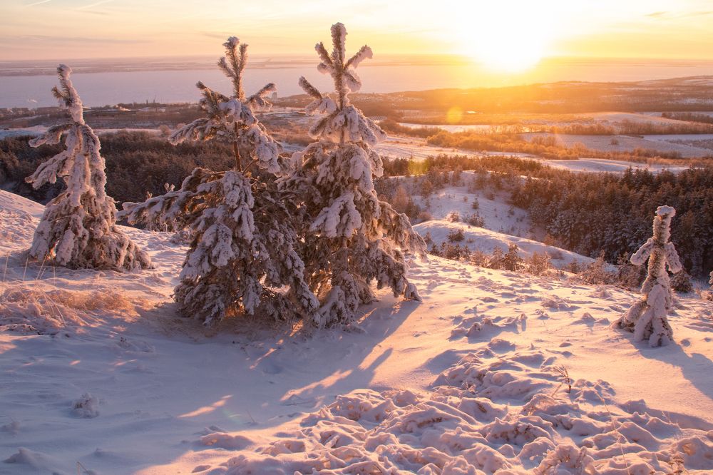 Photograph by Цветков Сергей