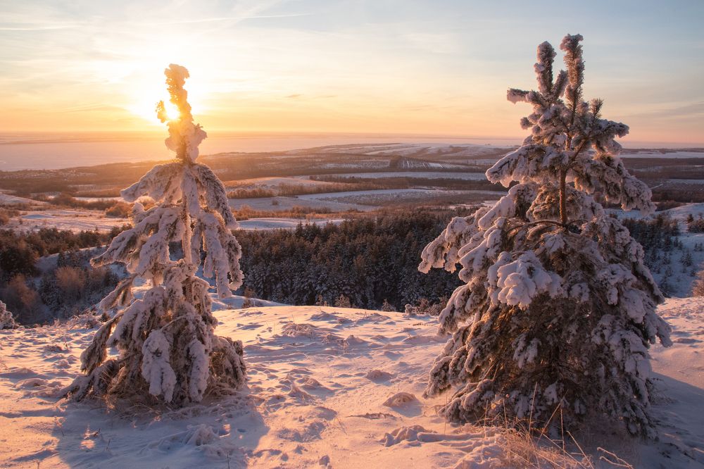 Photograph by Цветков Сергей