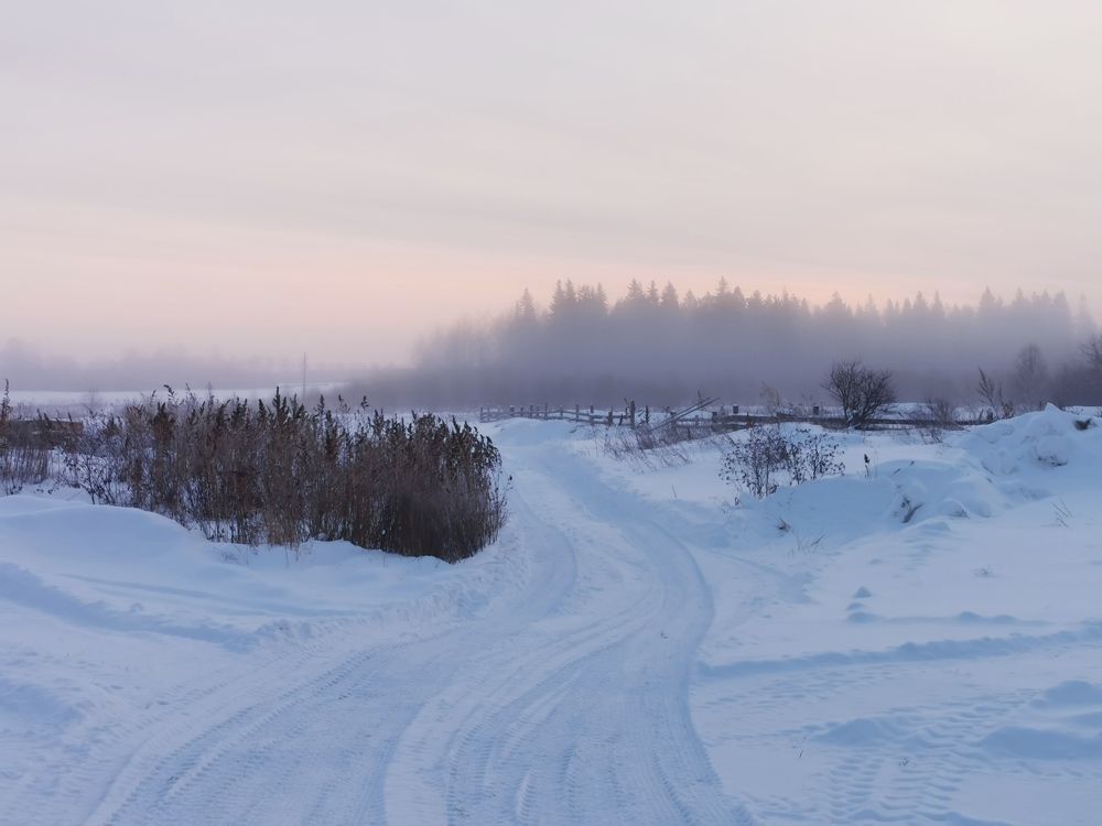 Фотография автора Андрей Логвинович