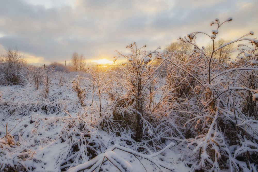 Photograph by ОЛЬГА КОВАЛЁВА