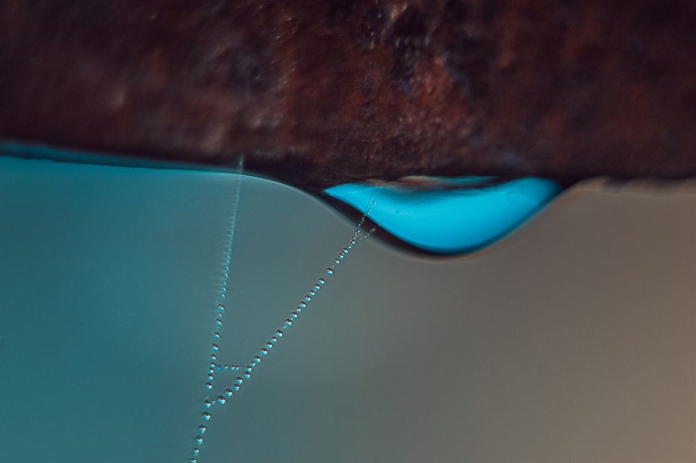 Photograph by Евгений