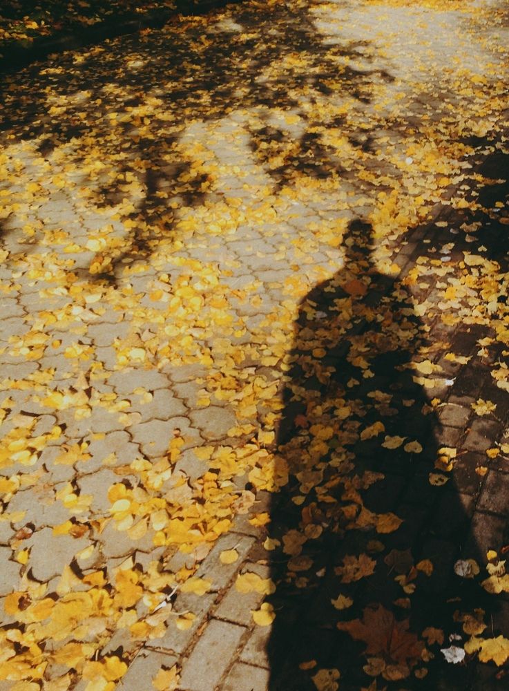 Photograph by Артур Жуков