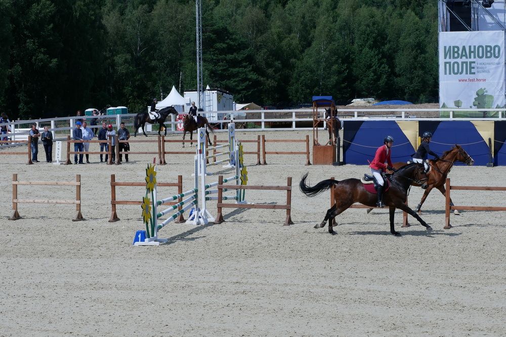 Зеркальный конкур