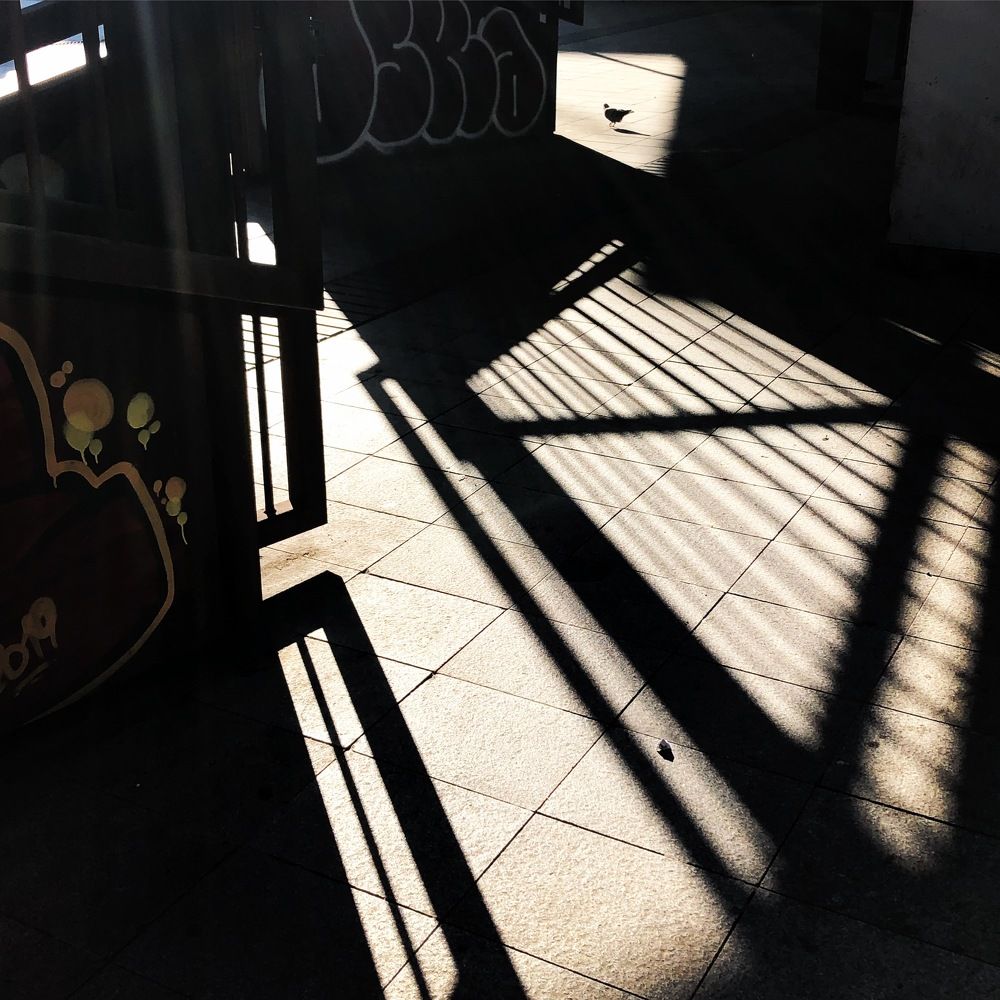 Photograph by Ludmila Stepnova