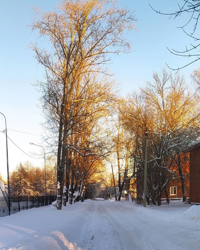 По тихой улочке