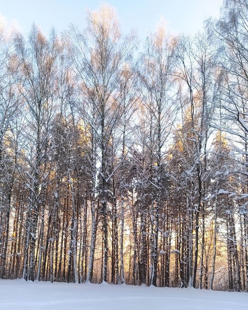 В солнечных красках