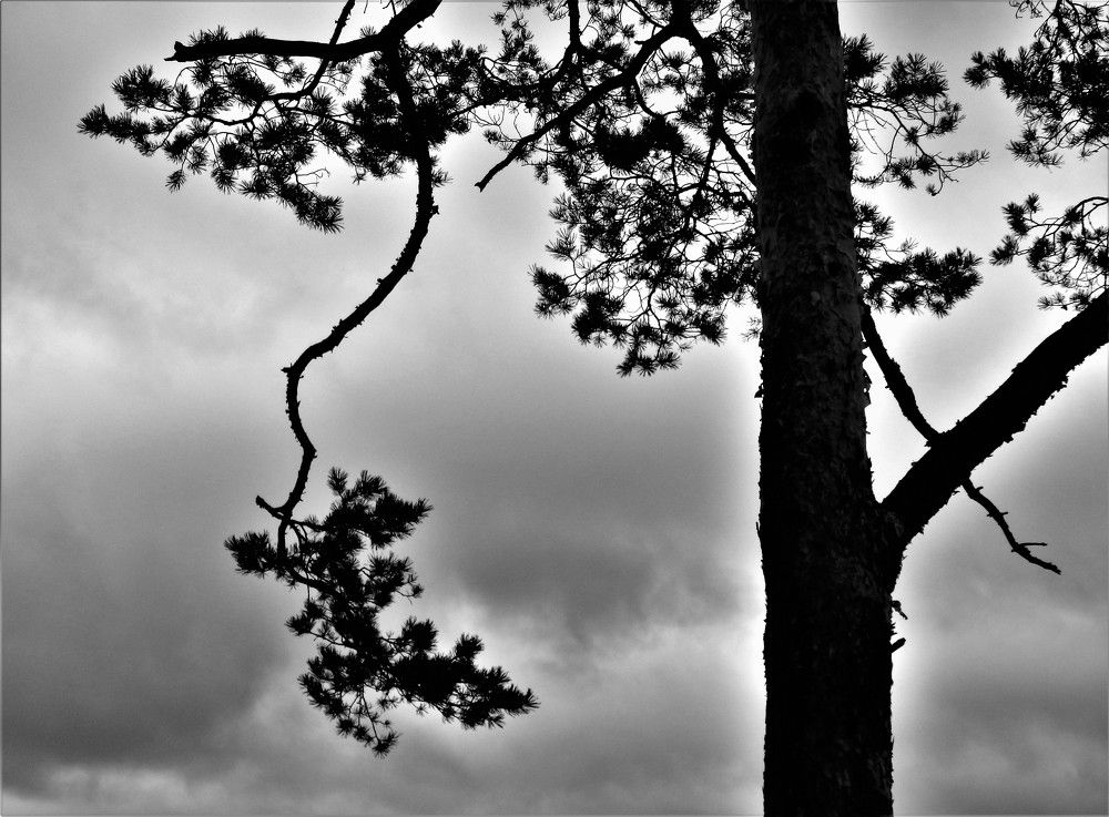 Фотография автора Tiia Vissak