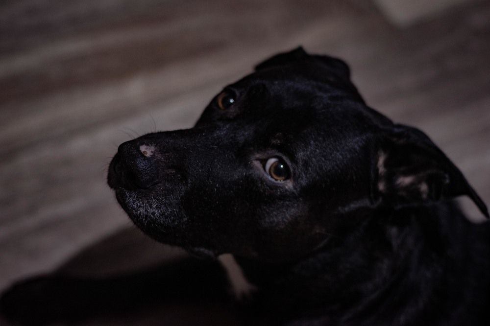 Photograph by Наталья Безмельницына