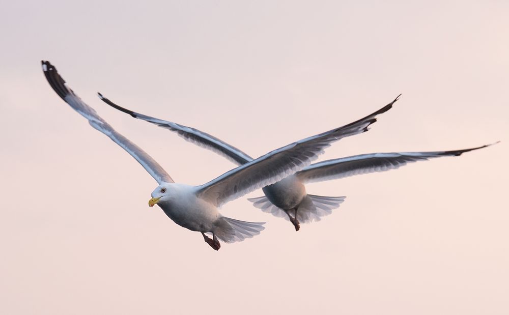 Синхронизация