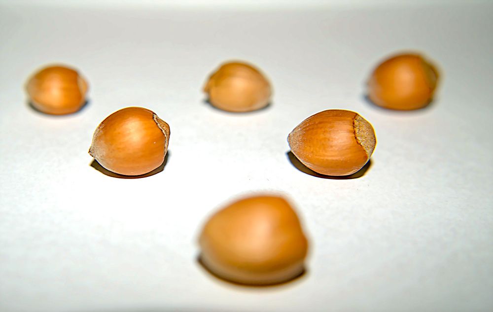 Photograph by Денис Геранькин