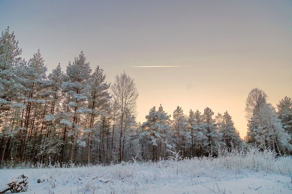 Photograph by Ольга Кобринская