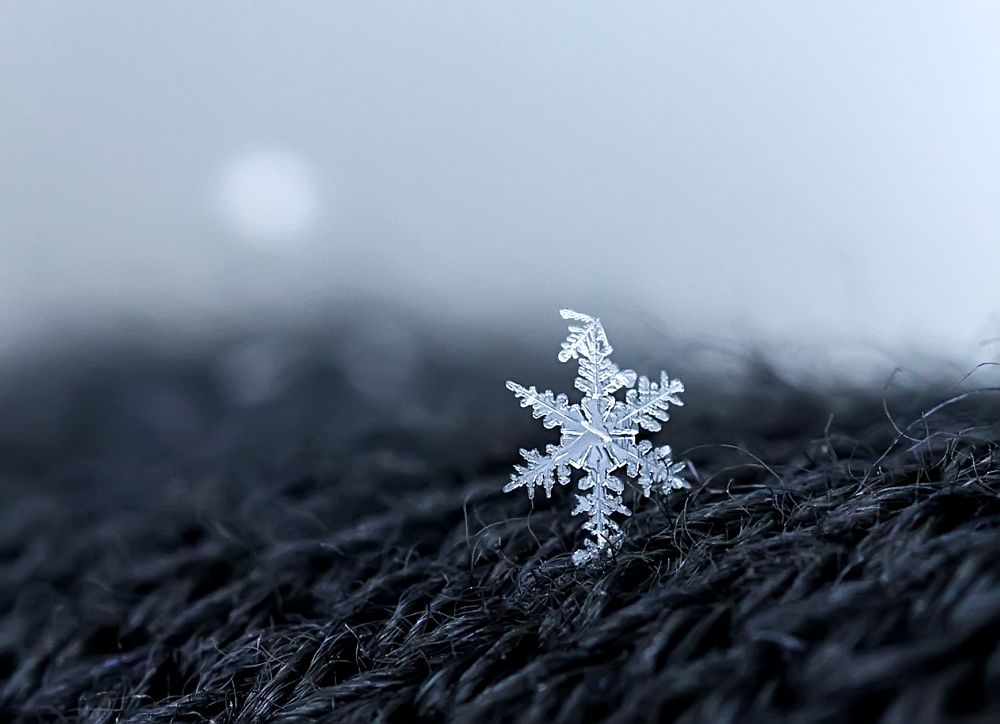 Последняя снежинка