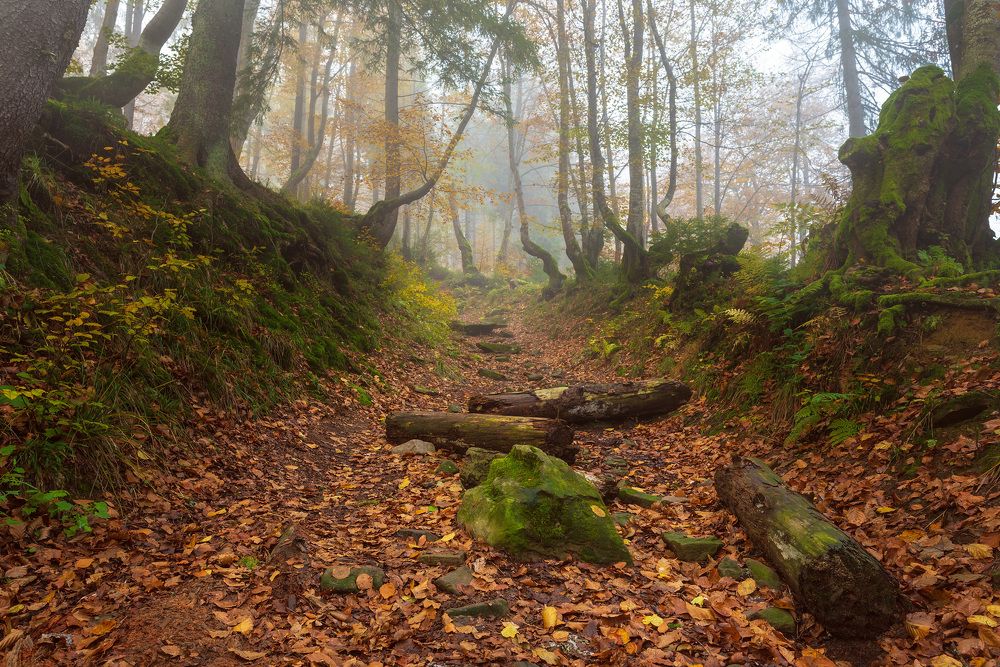 Фотография автора Иван Думишинец